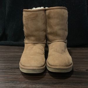 Ugg Classic Short Chestnut Boots